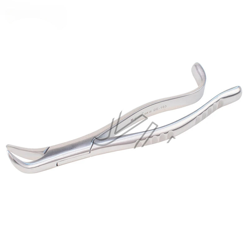 Sa2821ec7a1a04d8cac2e06cc00e722a7a